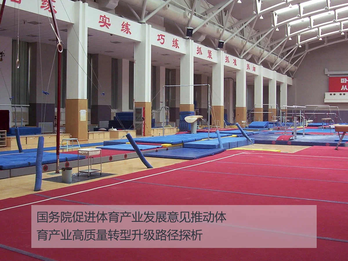 国务院促进体育产业发展意见推动体育产业高质量转型升级路径探析